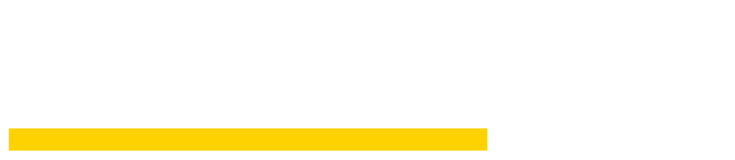 PDE_logo-blanco